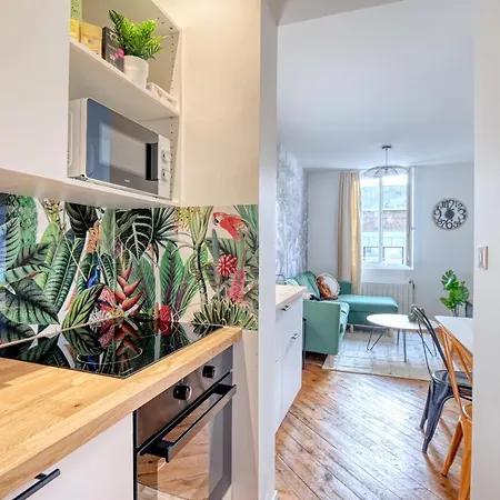 Ambiance Jungle Et Cocon En Hyper Centre Pour 2, 4 Ou 6 Pers - Mylittlestay Appartamento *