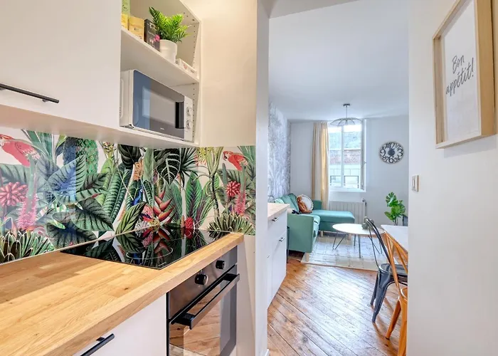 Ambiance Jungle Centre - Mylittlestay Apartment *